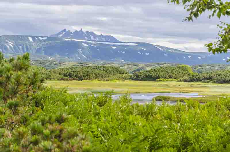 25 - Rusia - Kamchatka - Caldera de Uzon